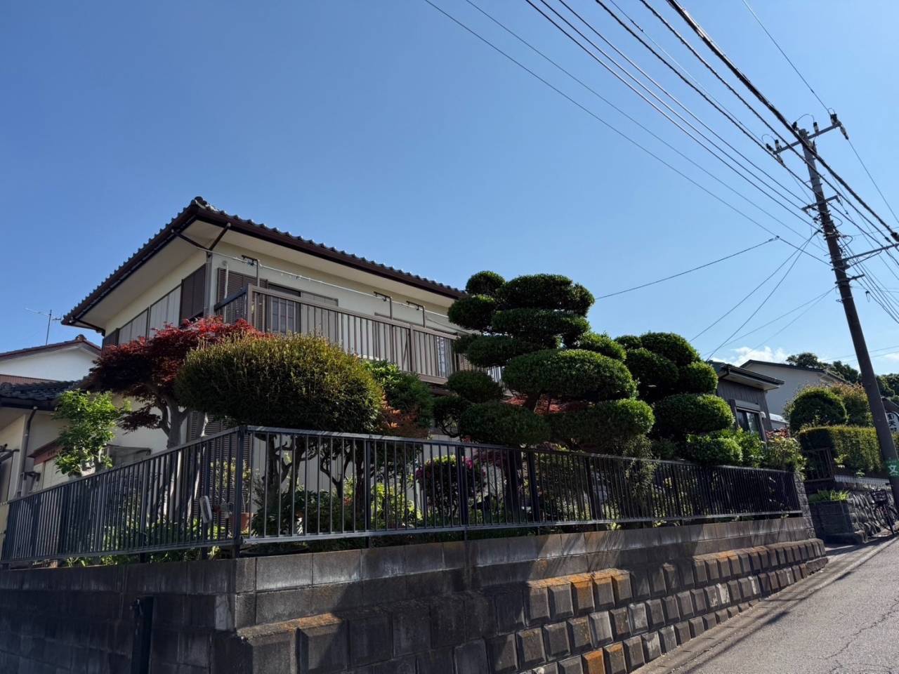 施工実績紹介No.70【横浜市泉区和泉町】ドウダンツツジ・ウメ・マツ・玉物ツゲの剪定作業を実施｜和風庭園の美しさを保つ専門剪定