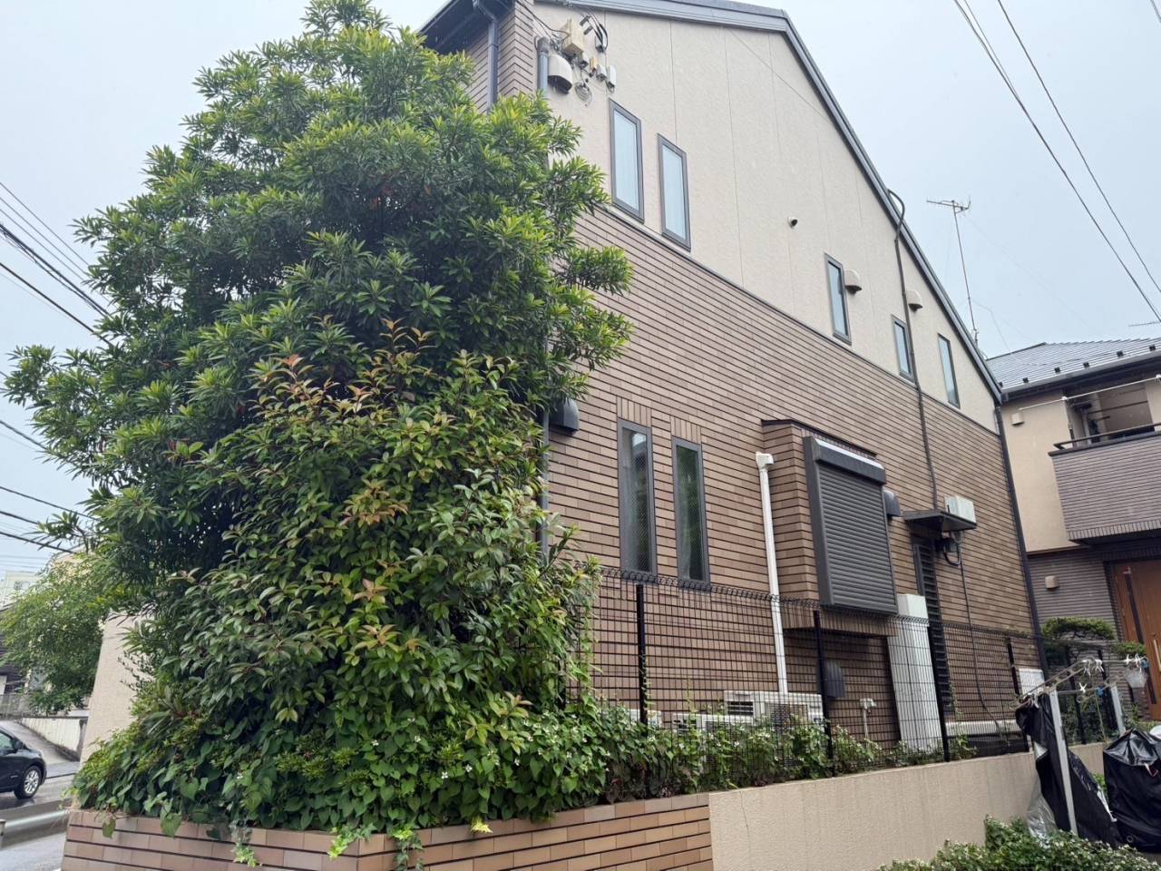 施工実績紹介No.71【横浜市瀬谷区三ツ境】お庭の人力除草とタブノキ・キンモクセイ・シマトネリコ剪定を実施｜丁寧な手入れで庭全体を美しく