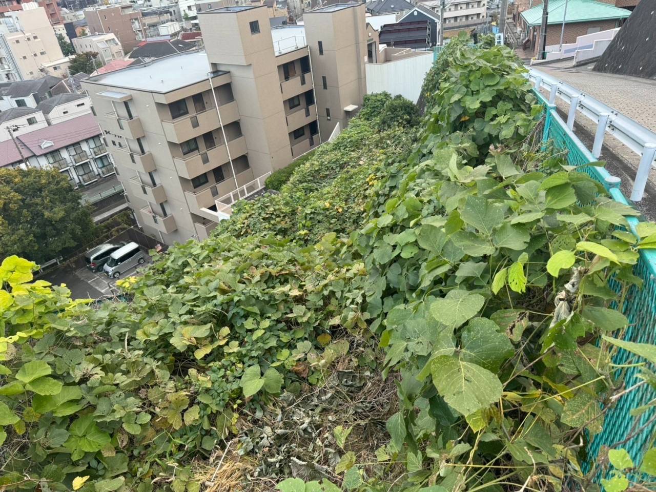 施工実績紹介No.78【横浜市港南区上永谷】道路用地の急斜面地で草刈作業を実施｜安全確保を重視した法面管理