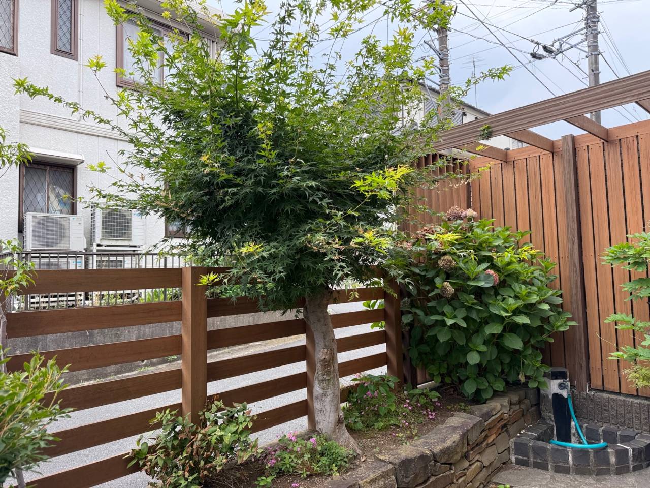 施工実績紹介No.95【横浜市瀬谷区三ツ境】お庭のモミジ伐採作業を実施｜安全性と今後の管理を考えた庭木整理