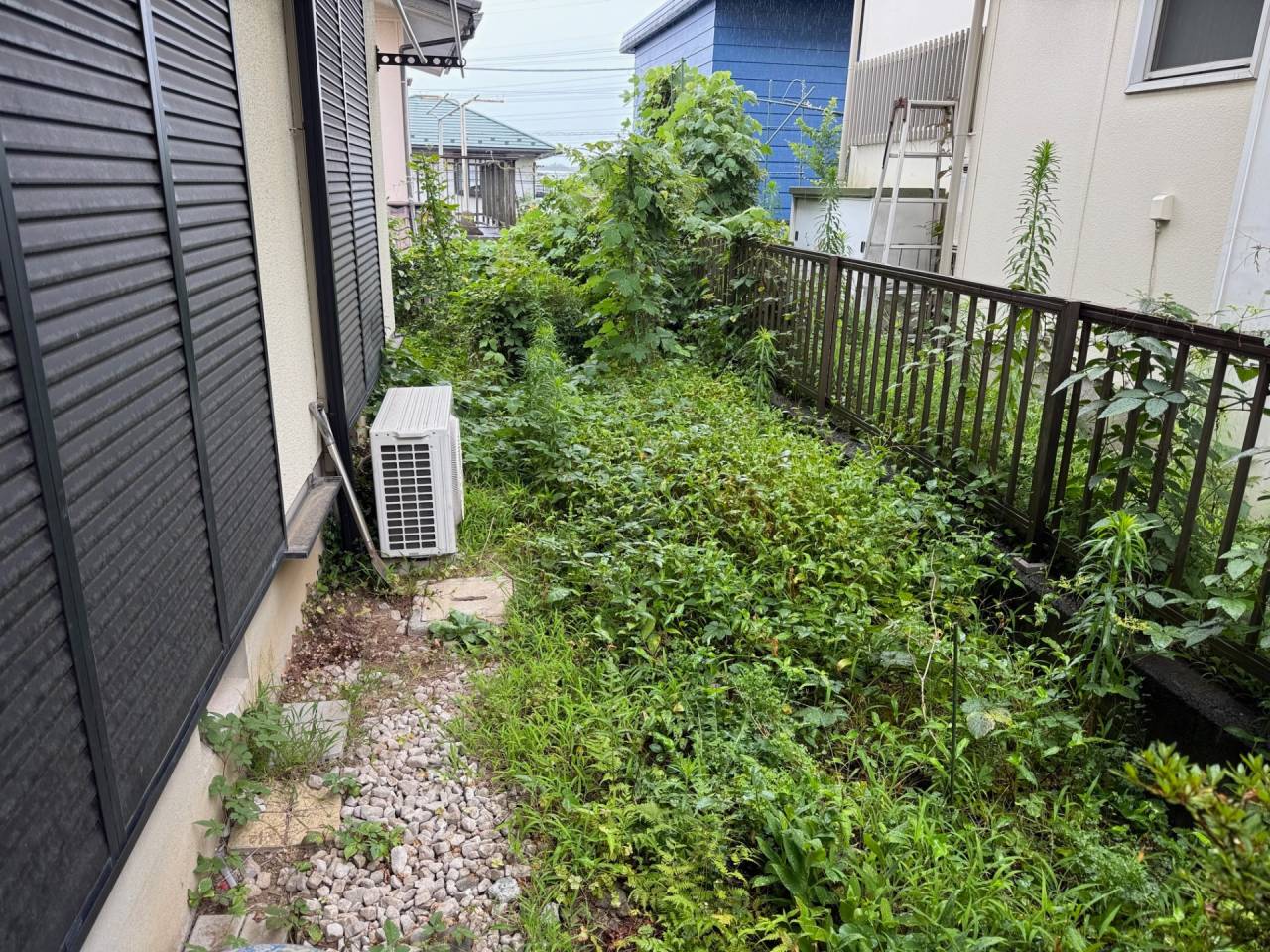 施工実績紹介No.96【横浜市泉区緑園】お庭の除草・実生木伐採作業を実施｜管理しやすく安全な庭環境へ