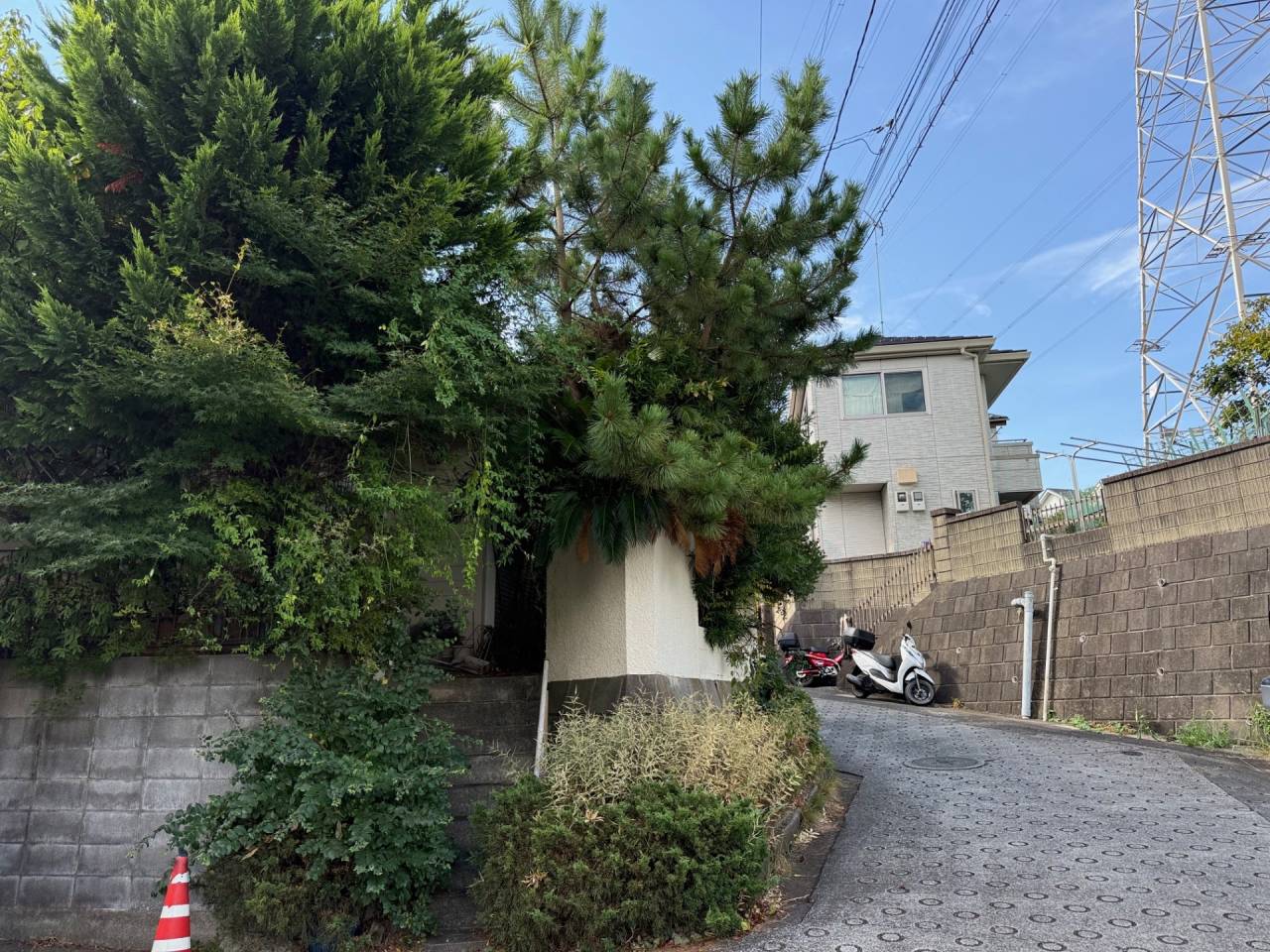 施工実績紹介No.104【横浜市瀬谷区阿久和東】空家の草刈・約30本の樹木伐採作業を実施｜ウメ・ユズは剪定で対応