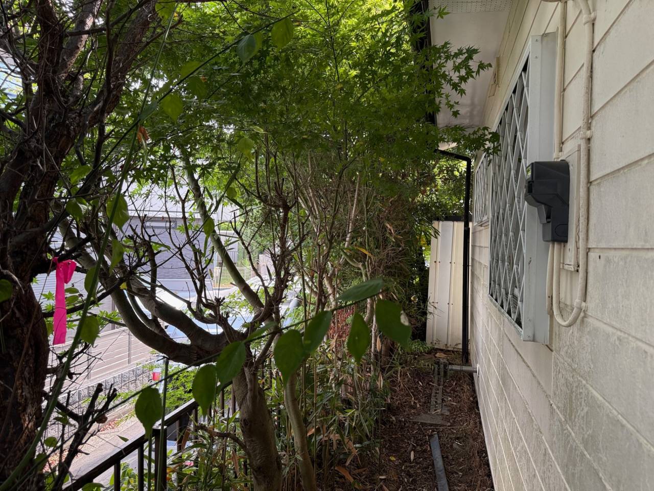 施工実績紹介No.106【横浜市瀬谷区阿久和東】空家の草刈・約30本の樹木伐採作業を実施｜ウメ・ユズは剪定で対応