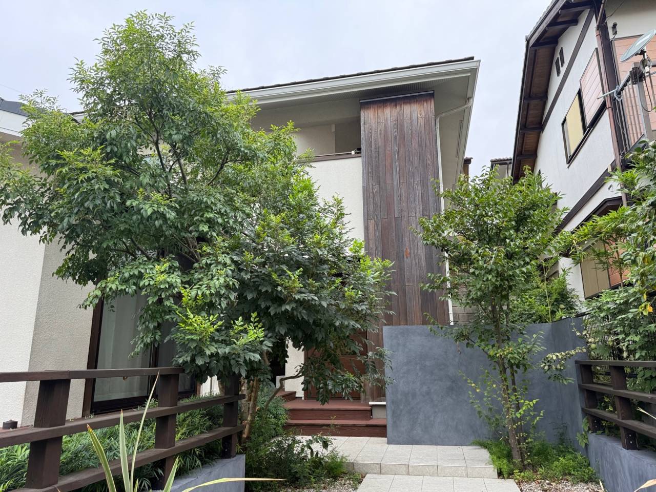 施工実績紹介No.111【横浜市瀬谷区阿久和東】お庭のシマトネリコ・エゴノキ剪定作業を実施｜樹形と風通しを整える庭木管理