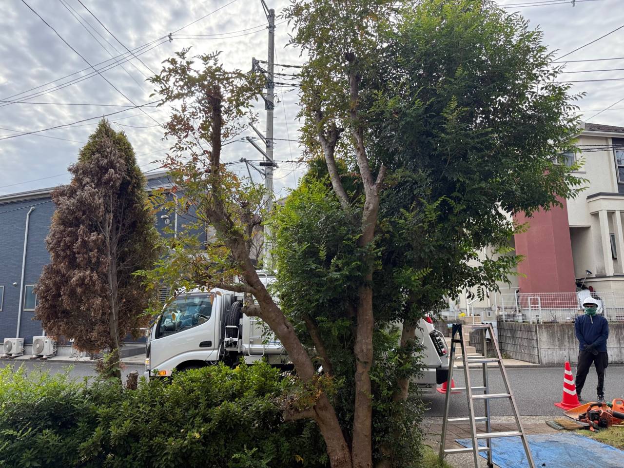 施工実績紹介No.131【横浜市瀬谷区阿久和東】お庭の樹木伐採作業を実施｜安全性と管理性を高める庭木整理