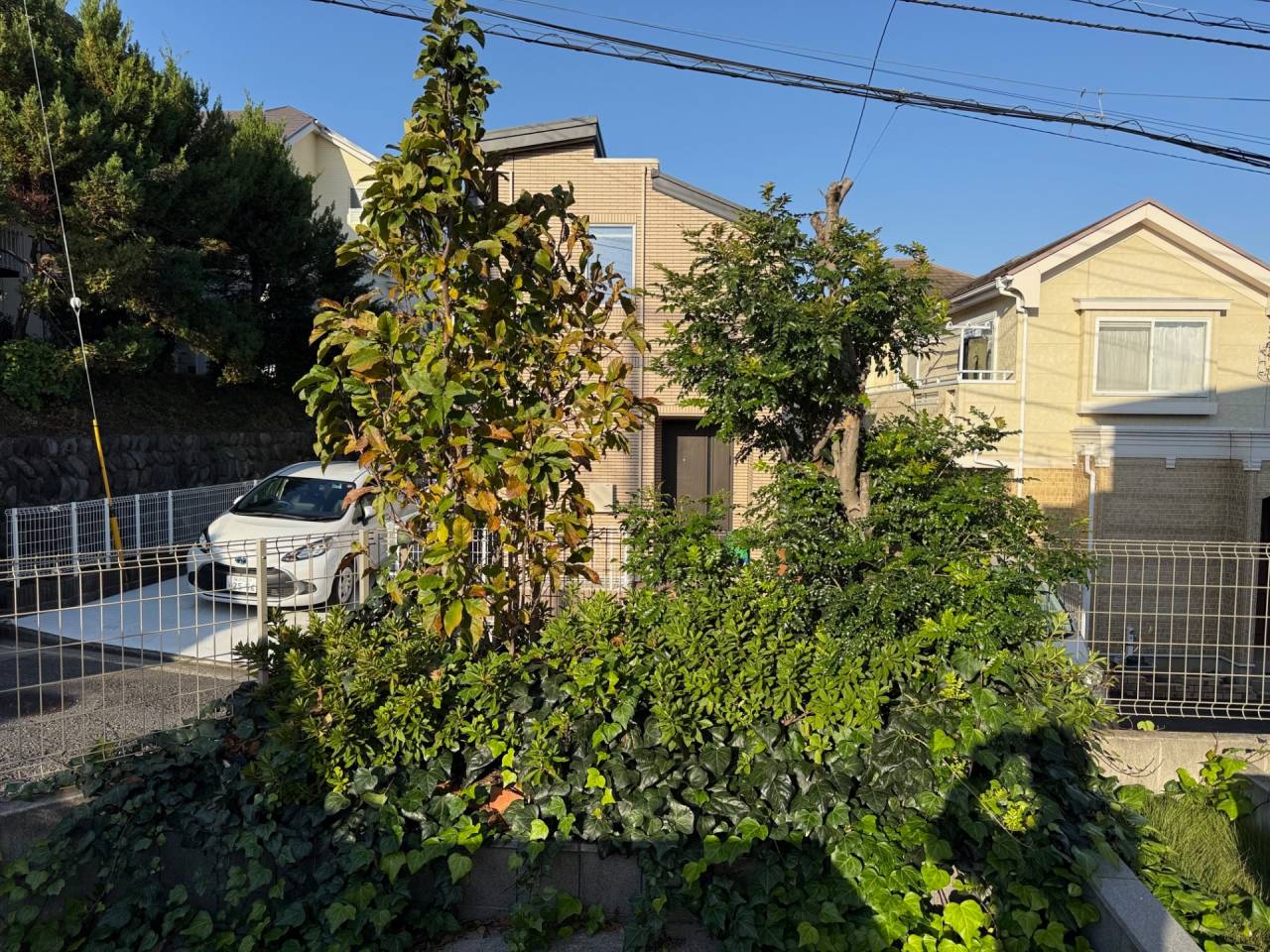 施工実績紹介No.130【横浜市旭区万騎が原】お庭の花壇に繁茂したアイビー・樹木の抜根作業を実施｜庭リフォーム前の基礎整理