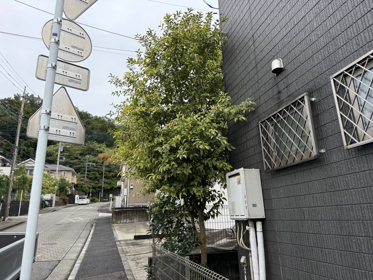 施工実績紹介No.134【川崎市麻生区】お庭の樹木伐採作業を実施｜安全性と管理性を高める庭木整理