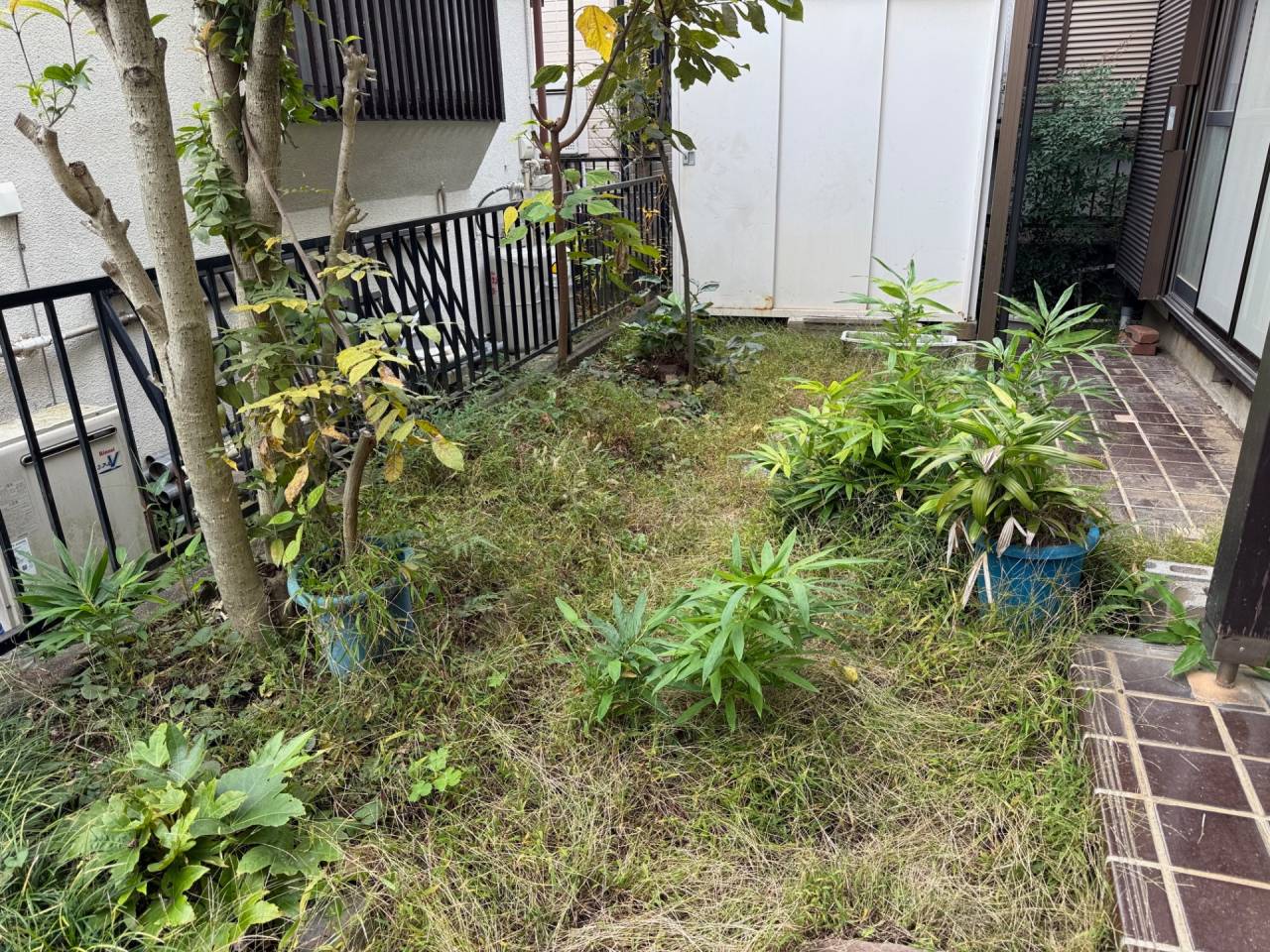 施工実績紹介No.132【横浜市瀬谷区相沢】お庭の草刈作業を実施｜雑草対策で景観と安全性を向上