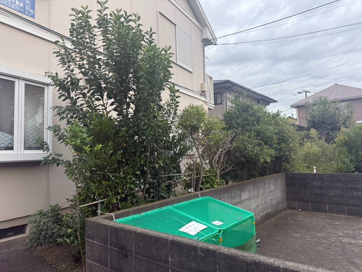 施工実績紹介No.142【藤沢市高倉】アパートのネズミモチ・マサキ・キンモクセイ・サカキを強剪定および間引き伐採作業｜集合住宅の植栽を計画的に整理