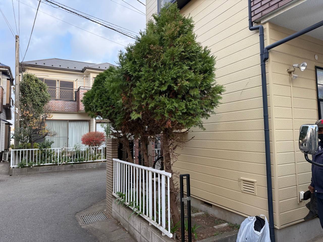 施工実績紹介No.146【横浜市瀬谷区本郷】お庭の除草・樹木の抜根作業を実施｜庭をリセットして管理しやすい空間へ