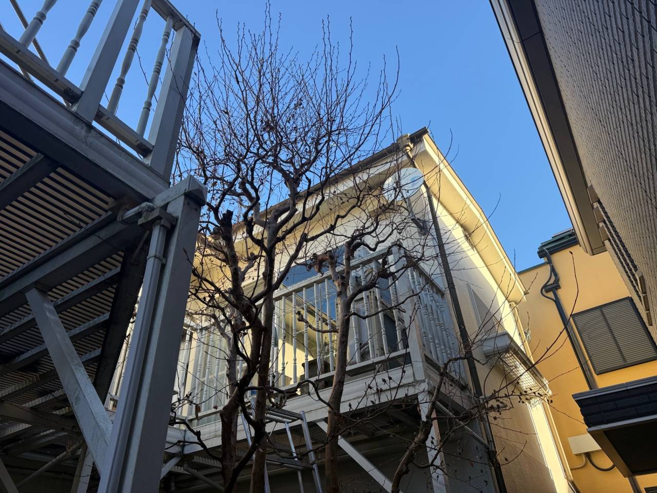 施工実績紹介No.145【中野区若宮】お庭のソヨゴ・シャクナゲ・ウメ・ヒメシャラ剪定作業を実施｜樹木の健康と景観を整える庭木管理