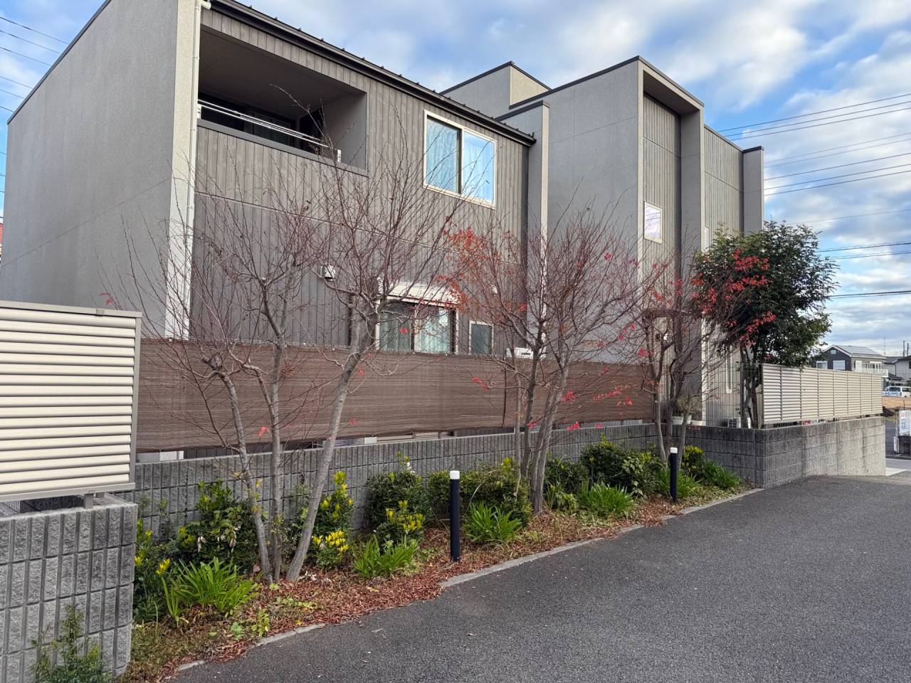 施工実績紹介No.157【横浜市瀬谷区北新】お庭のイヌシデ剪定作業を実施｜樹形を整え、明るく管理しやすい庭へ