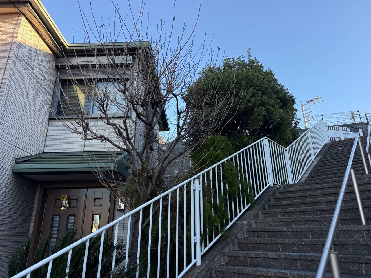 施工実績紹介No.152【横浜市鶴見区駒岡】お庭の除草・サクラ／ゴールドクレスト／ゲッケイジュ／ヤマモモ剪定・ウッドデッキ撤去作業を実施