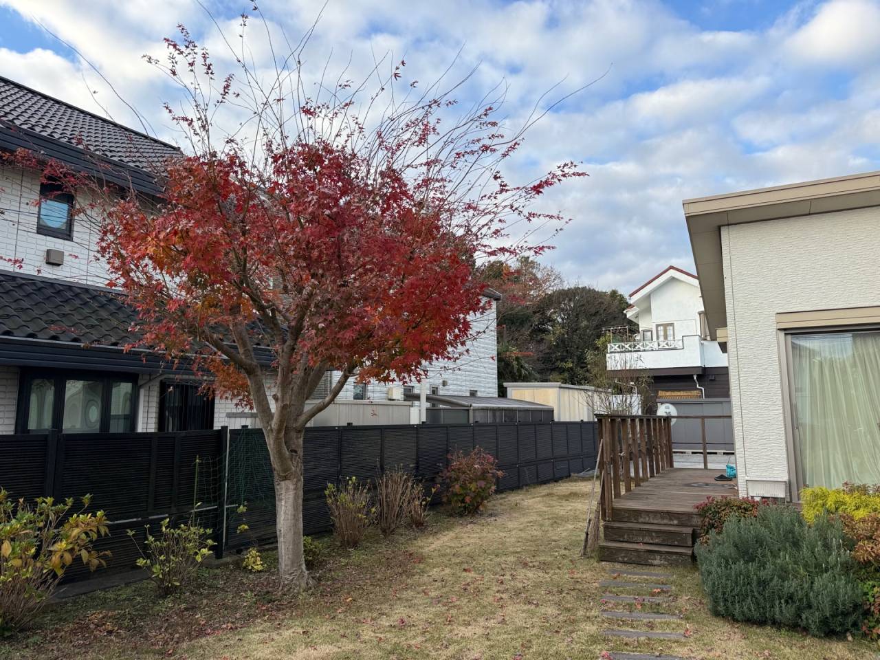 施工実績紹介No.159【横浜市瀬谷区北新】お庭のイロハモミジ・モモを剪定作業｜樹形を整え、四季を楽しめる庭へ