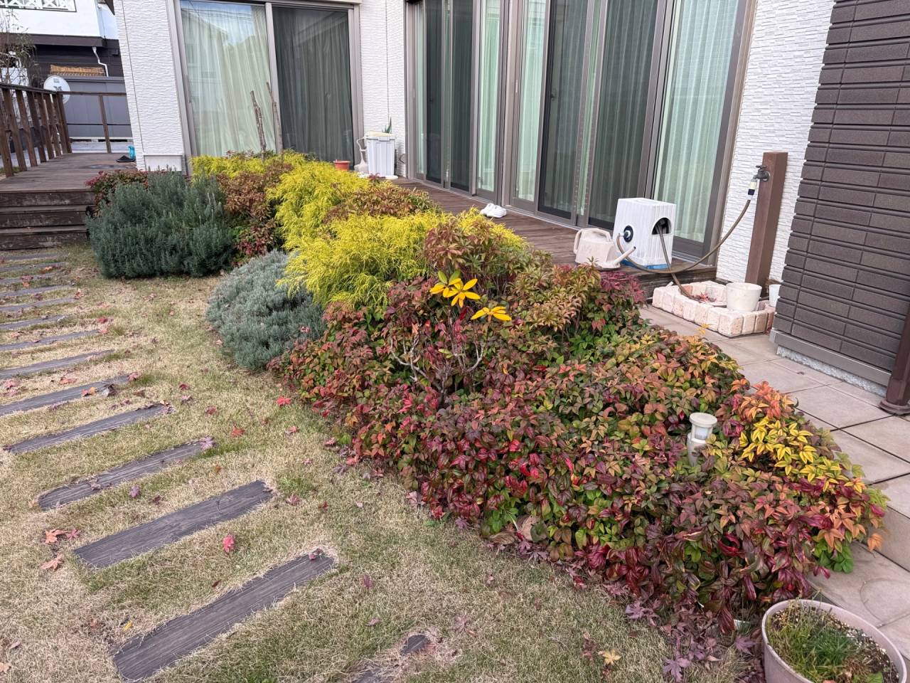 施工実績紹介No.160【横浜市瀬谷区北新】お庭のオタフクナンテン・セダム・ローズマリーなど地被植物を剪定｜低木・下草を整え管理しやすい庭へ