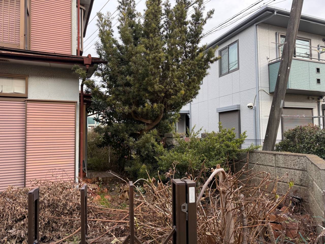 施工実績紹介No.155【横浜市瀬谷区中央】空家の除草・樹木伐採作業（ミカンのみ剪定）を実施｜放置空家の庭を安全・清潔に管理