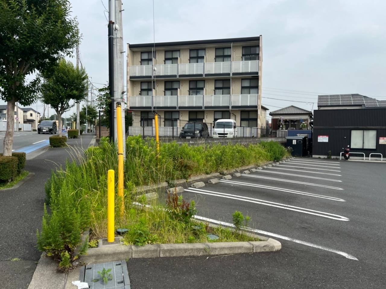 施工実績紹介No.162【横浜市泉区下和泉】商業施設の駐車場を除草作業｜景観・安全性を維持する定期管理対応