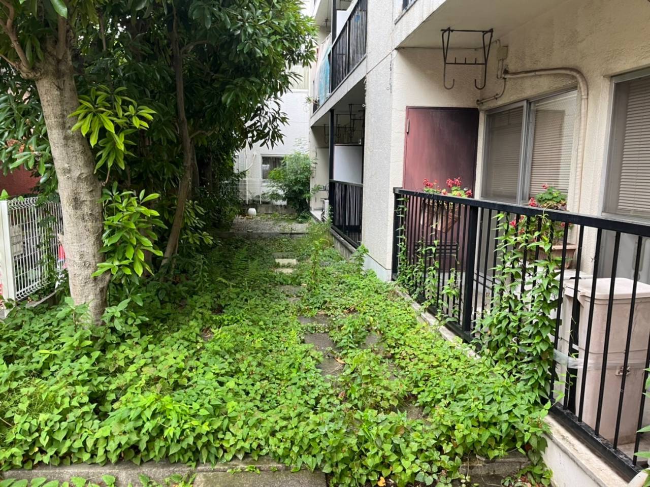 施工実績紹介No.164【横浜市中区山手町】マンションの除草作業を実施｜共用部の景観と安全性を維持する定期管理