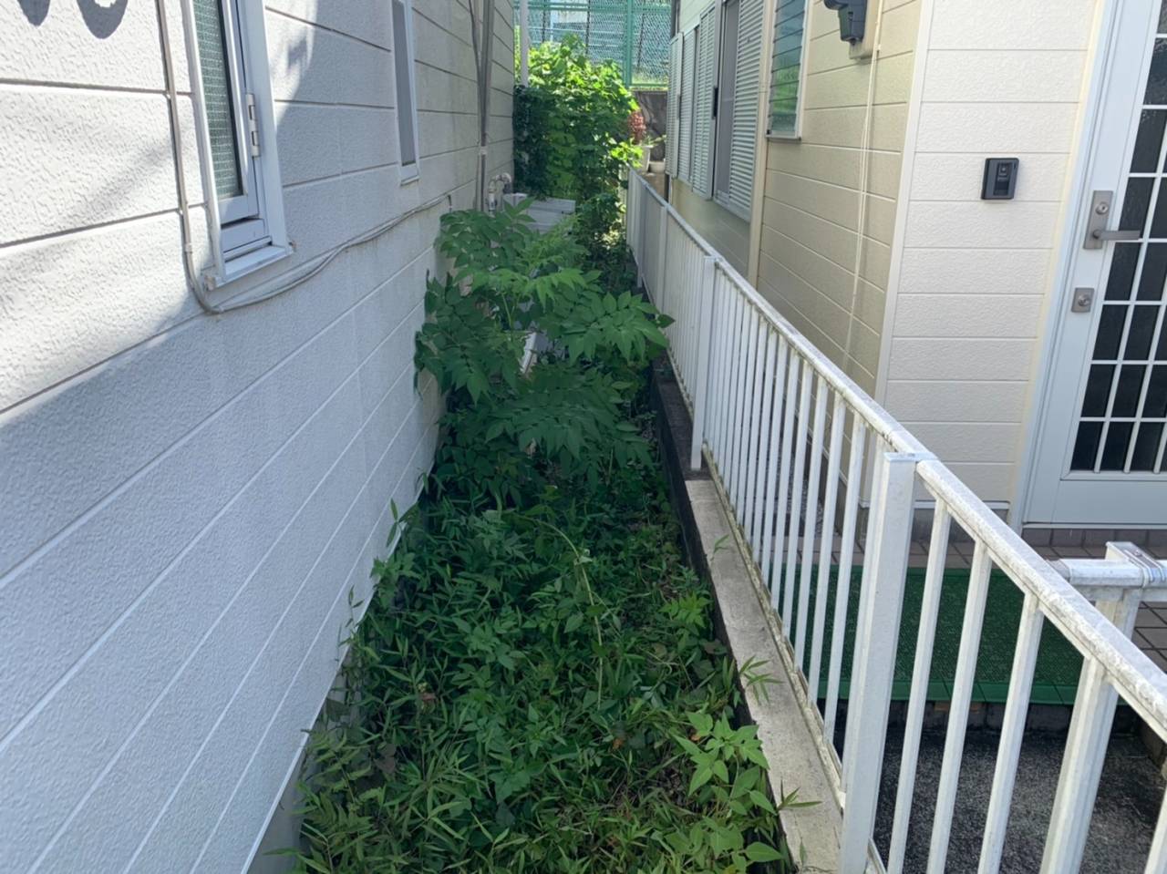 施工実績紹介No.167【横浜市神奈川区三枚町】お庭の人力除草作業を実施｜根から丁寧に除去し管理しやすい庭へ