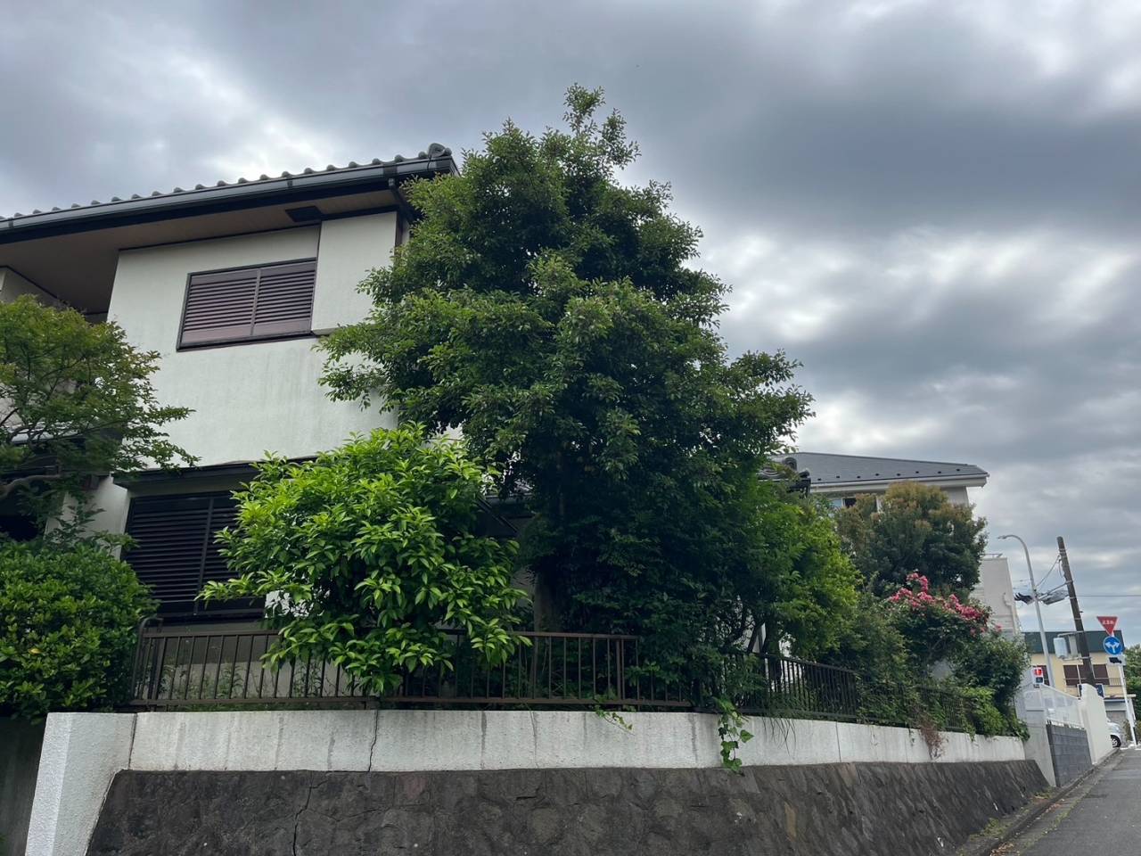 施工実績紹介No.175【横浜市港南区日限山】空家の除草・樹木をすべて伐採作業｜放置リスクを解消し管理しやすい敷地へ