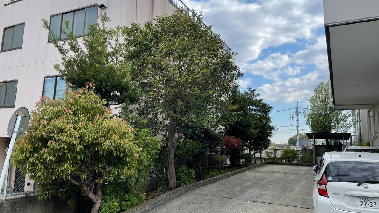 施工実績紹介No.170【横浜市港北区新羽】商業施設の高木を抜根・低木は剪定対応｜安全性と景観を両立した植栽管理