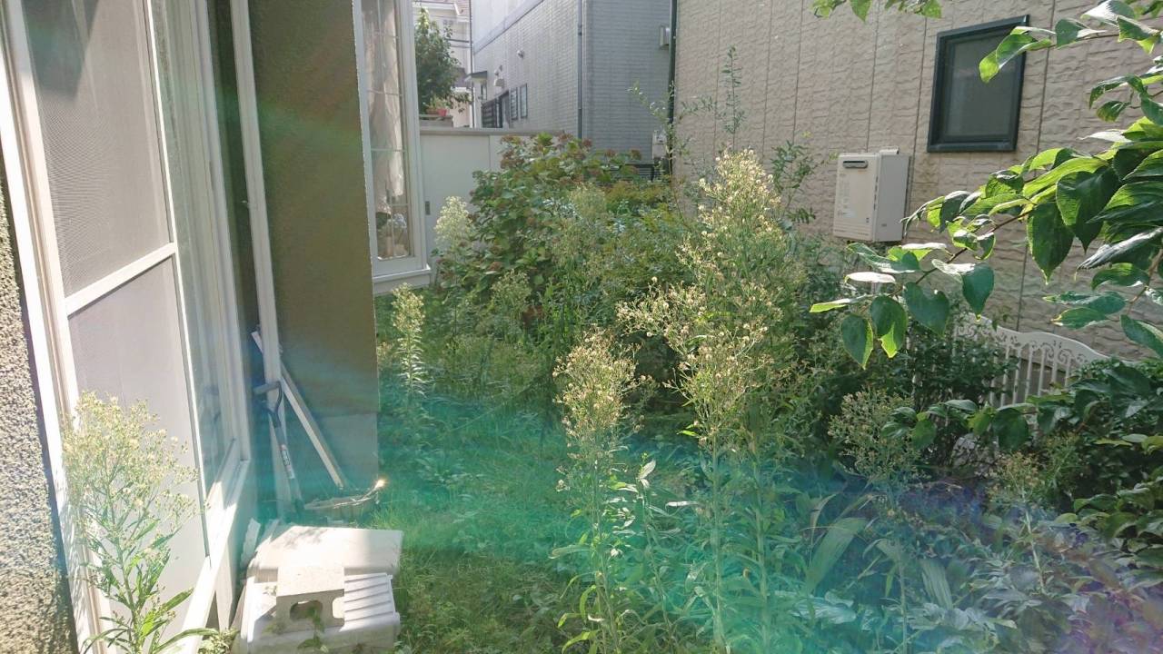 施工実績紹介No.171【鎌倉市大船】お庭の除草作業を実施｜雑草を整理し、すっきりと管理しやすい庭へ