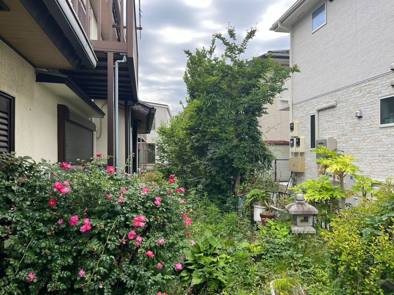 施工実績紹介No.176【横浜市港南区日限山】空家の除草・樹木をすべて伐採作業｜放置リスクを解消し管理しやすい敷地へ