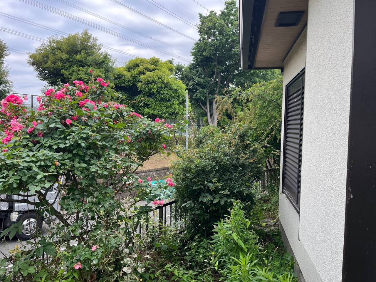 施工実績紹介No.174【横浜市港南区日限山】空家の除草・樹木をすべて伐採作業｜放置リスクを解消し管理しやすい敷地へ