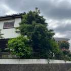 施工実績紹介No.175【横浜市港南区日限山】空家の除草・樹木をすべて伐採作業｜放置リスクを解消し管理しやすい敷地へ