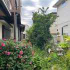 施工実績紹介No.176【横浜市港南区日限山】空家の除草・樹木をすべて伐採作業｜放置リスクを解消し管理しやすい敷地へ