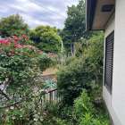 施工実績紹介No.174【横浜市港南区日限山】空家の除草・樹木をすべて伐採作業｜放置リスクを解消し管理しやすい敷地へ